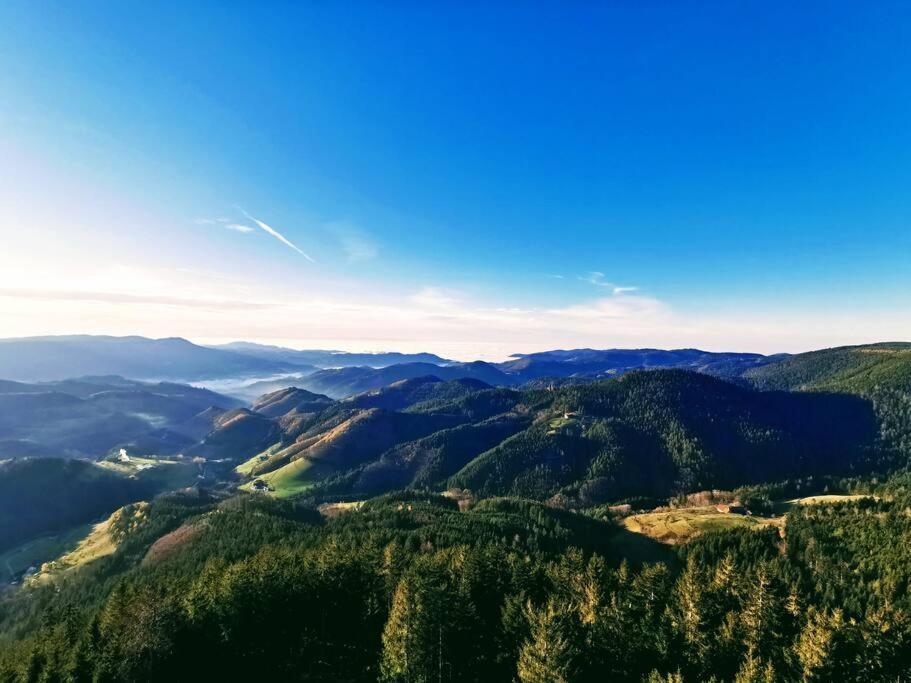 Traumhafte Maisonette-Wohnung Im Schwarzwald فرودنستاد المظهر الخارجي الصورة