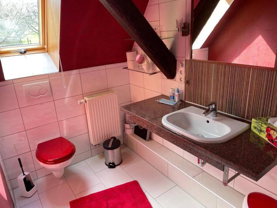 Traumhafte Maisonette-Wohnung Im Schwarzwald فرودنستاد المظهر الخارجي الصورة