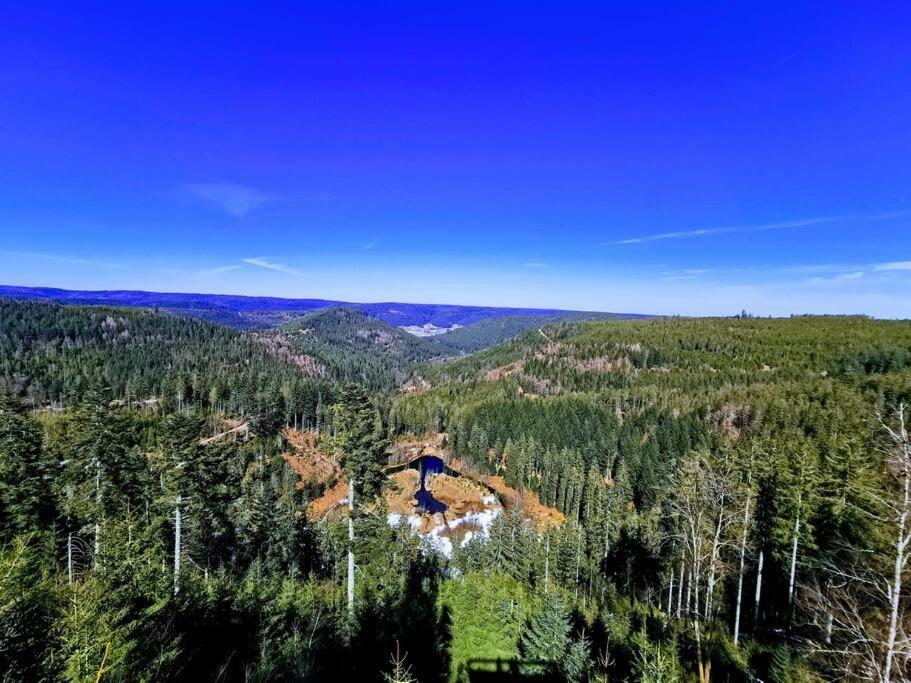 Traumhafte Maisonette-Wohnung Im Schwarzwald فرودنستاد المظهر الخارجي الصورة