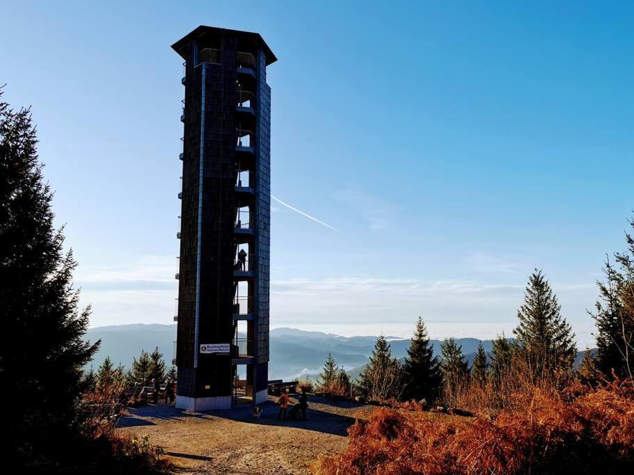 Traumhafte Maisonette-Wohnung Im Schwarzwald فرودنستاد المظهر الخارجي الصورة