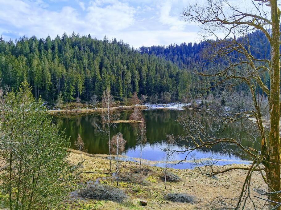 Traumhafte Maisonette-Wohnung Im Schwarzwald فرودنستاد المظهر الخارجي الصورة